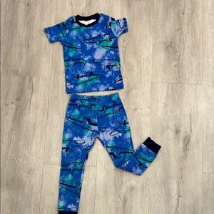 Blue and Green Dinosaur Pajama Set